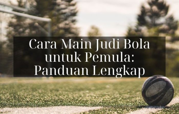 Cara Membaca Odds Judi Bola: Panduan untuk Pemula