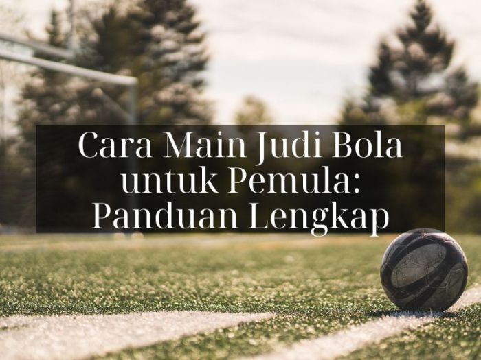 Cara Membaca Odds Judi Bola: Panduan untuk Pemula